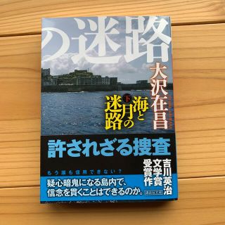 海と月の迷路 下(文学/小説)