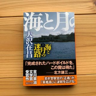 海と月の迷路 上(その他)