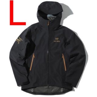 アークテリクス(ARC'TERYX)のアークテリクス BEAMS別注 ゼータSL Zeta Sl Lサイズ(マウンテンパーカー)