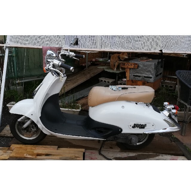 【在庫ラスト1台です♪】白いHONDAジョーカー50cc スクーター！自動車/バイク