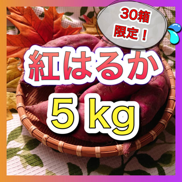 さつまいも『紅はるか』5kg＊9/21発送予定＊数量限定 食品/飲料/酒の食品(野菜)の商品写真