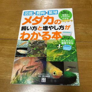 メダカの飼い方と増やし方がわかる本 図鑑＆飼育＆繁殖(住まい/暮らし/子育て)