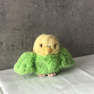 インコ ぬいぐるみ(ぬいぐるみ)