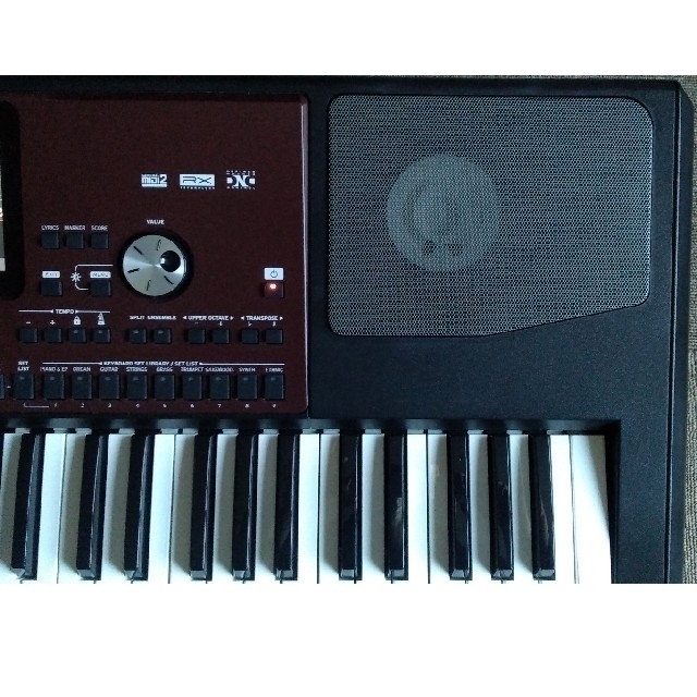 KORG(コルグ)のKORG（コルグ） Pa700 PROFESSIONAL ARRANGER 楽器の鍵盤楽器(キーボード/シンセサイザー)の商品写真