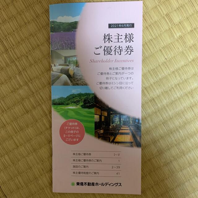 東急不動産　株主優待券　100-500株 チケットの優待券/割引券(その他)の商品写真