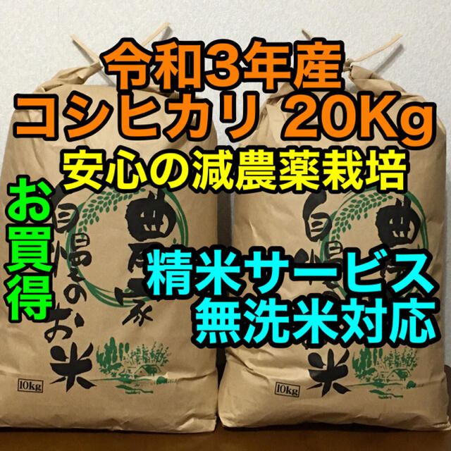 新米コシヒカリ20kg茨城県産◉無洗米・白米対応