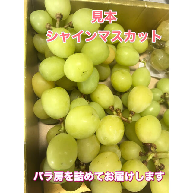 シャインマスカット　家庭用　２キロ　長野県産　減農薬 食品/飲料/酒の食品(フルーツ)の商品写真