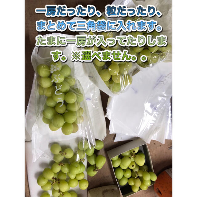 シャインマスカット　家庭用　２キロ　長野県産　減農薬 食品/飲料/酒の食品(フルーツ)の商品写真