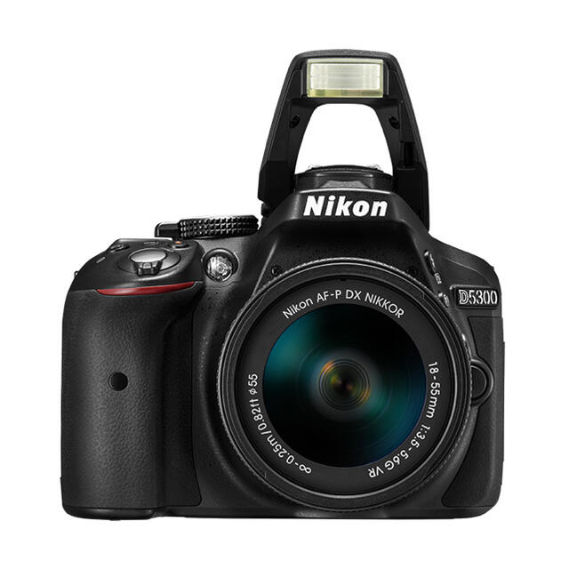 Nikon D5300 標準レンズ 単焦点レンズ 小物セット