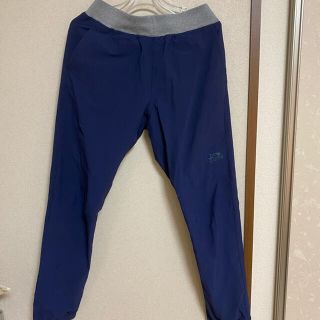 ザノースフェイス(THE NORTH FACE)のノースフェイス　トレーニングリブパンツ　M(その他)