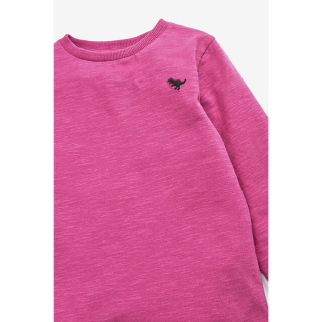 NEXT(ネクスト)の【新品】next ピンク 長袖プレーンTシャツ（ボーイズ） キッズ/ベビー/マタニティのベビー服(~85cm)(シャツ/カットソー)の商品写真