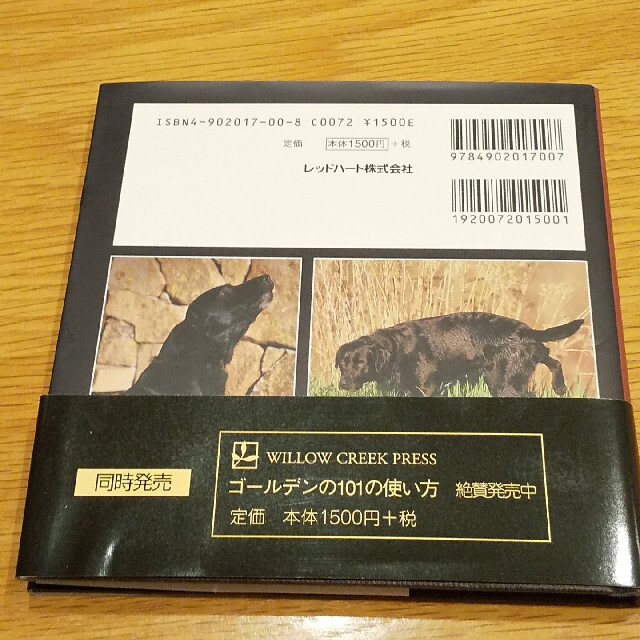 ラブの１０１の使い方 エンタメ/ホビーの本(住まい/暮らし/子育て)の商品写真