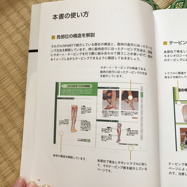 図解最先端テ－ピング術 「巻く」ではなく「貼って」効く！ 新装版 エンタメ/ホビーの本(趣味/スポーツ/実用)の商品写真