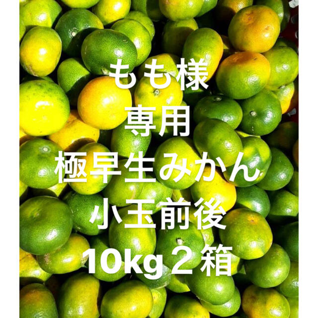 もも様　専用　愛媛県産　極早生みかん　小玉前後　傷スレあり　10kgx２箱 食品/飲料/酒の食品(フルーツ)の商品写真