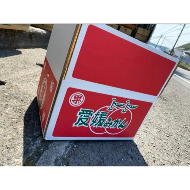 もも様　専用　愛媛県産　極早生みかん　小玉前後　傷スレあり　10kgx２箱 食品/飲料/酒の食品(フルーツ)の商品写真