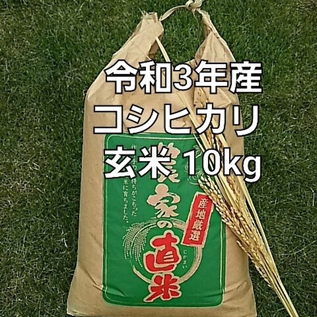 新米 令和5年 埼玉県産 コシヒカリ 玄米 10kg