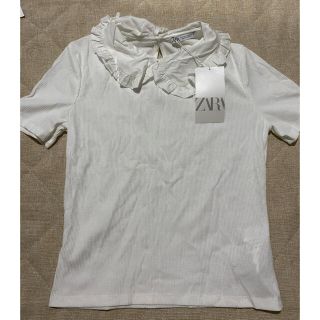 ザラ(ZARA)の新品　ZARA 襟付きtシャツ(Tシャツ(半袖/袖なし))