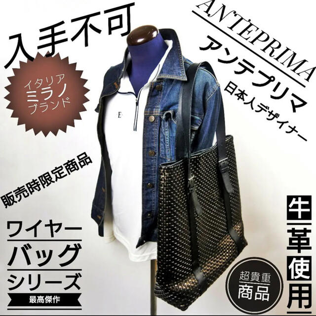 【超貴重】ANTEPRIMA  牛革 ワイヤーバッグ 入手不可品 限定生産