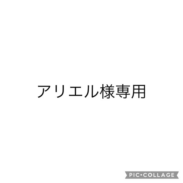 アリエル様専用ページの通販 by みみ's shop|ラクマ
