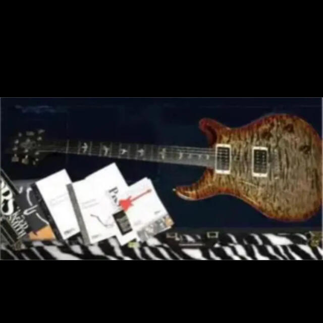 開店祝い れいる様　専用　PRSアーティストパッケージ　2013モデル エレキギター