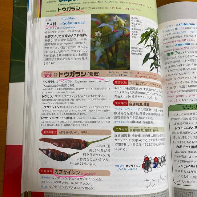 生薬単 語源から覚える植物学・生薬学名単語集 改訂第２版