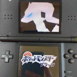 ニンテンドーDS(ニンテンドーDS)のNintendo　ポケットモンスター　ブラック(携帯用ゲームソフト)