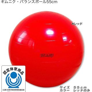 ギムニク　GYMNIC　バランスボール　55センチ レッド(トレーニング用品)