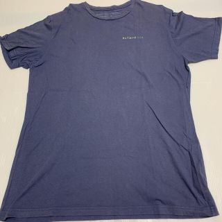 パタゴニア(patagonia)の【古着】 メキシコ製 patagonia Tシャツ L オーガニックコットン使用(Tシャツ/カットソー(半袖/袖なし))