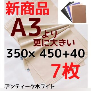 たっちゅ様専用(ショップ袋)