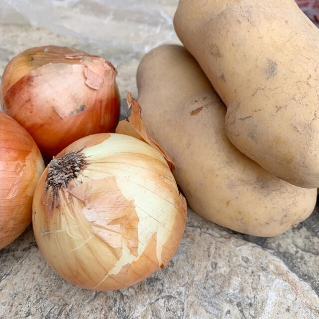 美味しい秋茄子🍆珍しいバターナッツカボチャ🎃お野菜10種類セット 食品/飲料/酒の食品(野菜)の商品写真