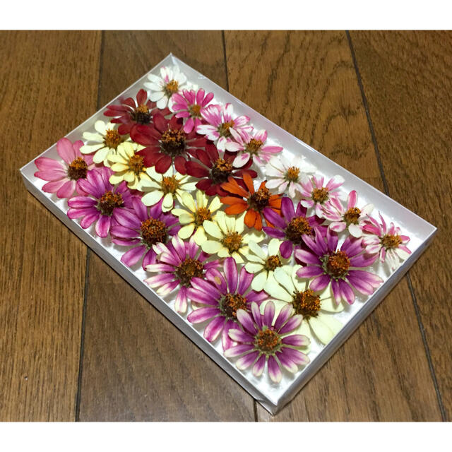 ジニア祭りで100円お値引き‼️M①銀の紫陽花が秋冬におすすめしたい大人色ジニア ハンドメイドのフラワー/ガーデン(ドライフラワー)の商品写真