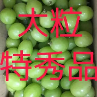 uri様専用　大粒特秀品シャインマスカット　粒(フルーツ)
