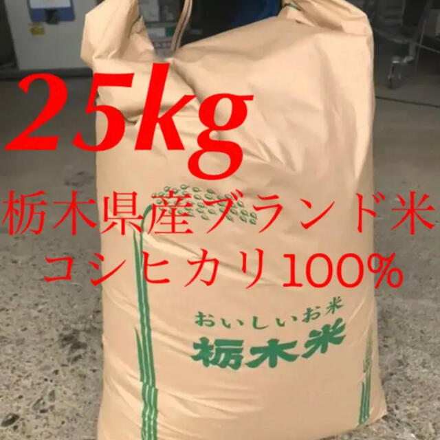 【R2年度古米・玄米】指定有料農地で採れた栃木県産ブランド米コシヒカリ 25kg 食品/飲料/酒の食品(米/穀物)の商品写真