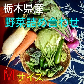 野菜詰め合わせBOX【Ｍ】(本日13時まで限定)(野菜)