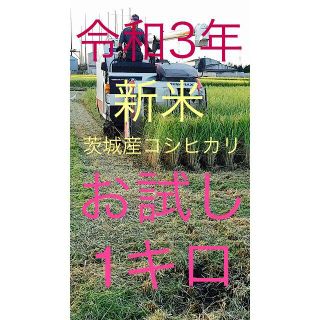 令和3年　茨城産コシヒカリ　クリーン精米（無洗米）1キロ(米/穀物)