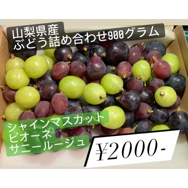 山梨県産 ぶどう詰め合わせ900g 以上 食品/飲料/酒の食品(フルーツ)の商品写真