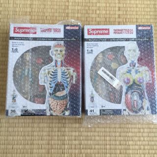 Supreme - Supreme anatomy male&female 2体セット の通販 by