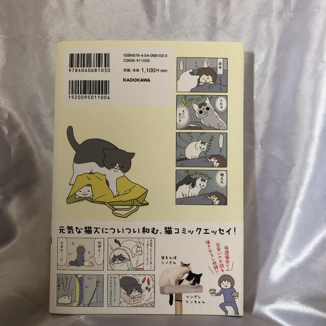 うちの猫がまた変なことしてる。 エンタメ/ホビーの本(住まい/暮らし/子育て)の商品写真