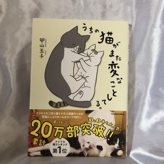 うちの猫がまた変なことしてる。(住まい/暮らし/子育て)