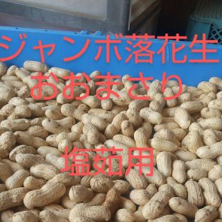 落花生おおまさり1キロ前後宅急便コンパクトに詰めれるだけ(野菜)