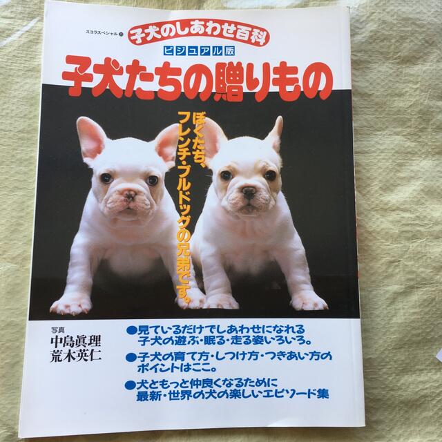 子犬たちの贈りもの 子犬のしあわせ百科 エンタメ/ホビーの本(文学/小説)の商品写真
