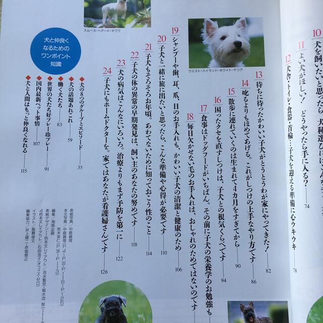 子犬たちの贈りもの 子犬のしあわせ百科 エンタメ/ホビーの本(文学/小説)の商品写真