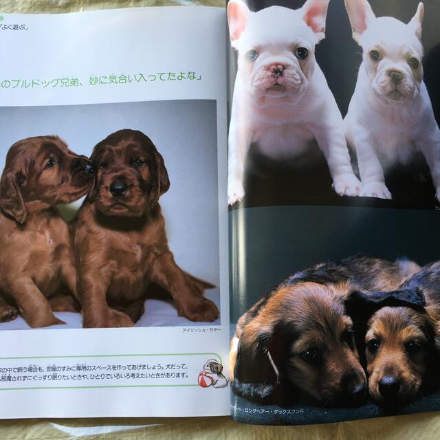 子犬たちの贈りもの 子犬のしあわせ百科 エンタメ/ホビーの本(文学/小説)の商品写真
