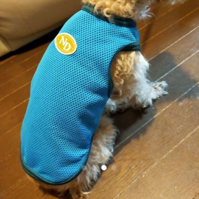 専用です！犬服  ドッグウェア  赤と青の2枚で その他のペット用品(犬)の商品写真