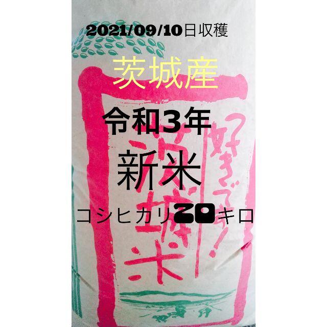 食品令和3年★新米★茨城産コシヒカリ20キロ9/10収穫　クリーン精米（無洗米）