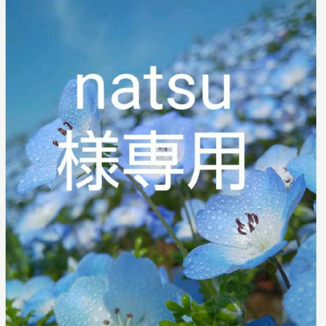 natsu様専用 その他のその他(その他)の商品写真