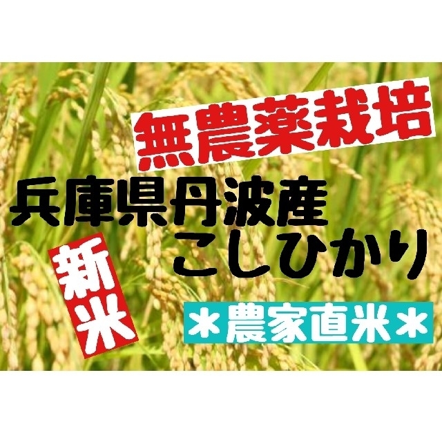 兵庫県丹波産こしひかり精米9kg(令和3年産)