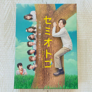 ヘイセイジャンプ(Hey! Say! JUMP)のセミオトコ DVD-BOX(TVドラマ)