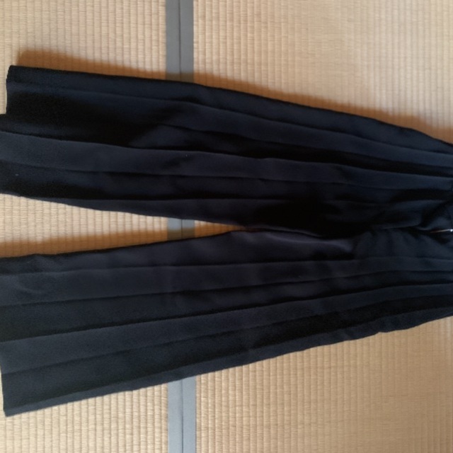 celine(セリーヌ)のPeter Do Front Pleated Pants メンズのパンツ(スラックス)の商品写真