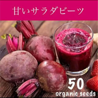 大人気！◆甘い♡サラダビーツ◆育てやすい健康野菜【有機種子　50粒】(その他)